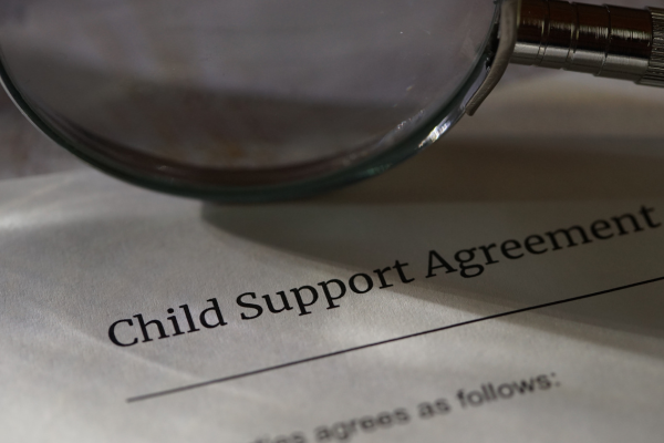 Common Issues in California Child Support Cases